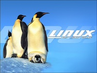 Pingouinslinux