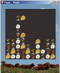 Puyocantal Puyocantal